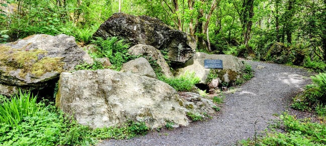 These are some of the boulders swept down the side of the valley when Coedty dam failed.