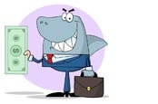 Financial shark